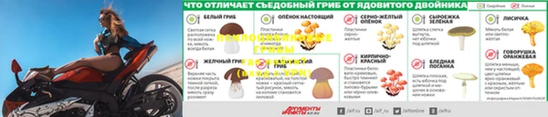 ПСИЛОЦИБИНОВЫЕ ГРИБЫ Абдулино