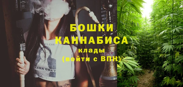 ПСИЛОЦИБИНОВЫЕ ГРИБЫ Абдулино